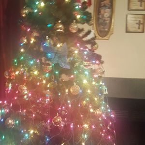 Meet your Posher, Petrine